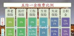 公司是否提供五险一金？