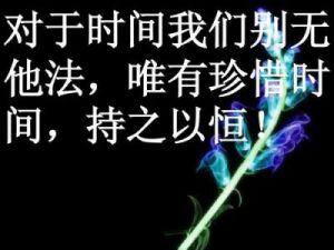 人生短暂如何珍惜时间过上充实的生活？