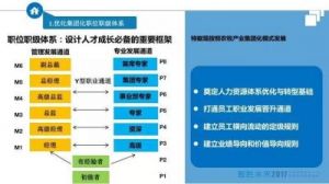 职级体系详解：职位定义及晋升路径