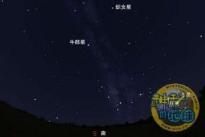 织女星属于哪个星座