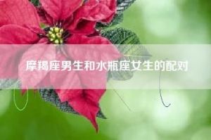 摩羯座女生与水瓶座男生配对指数分析