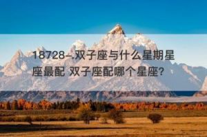 双子属什么象星座：全面解析