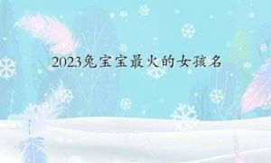 双胞胎女孩名字 2023兔宝宝男孩取名