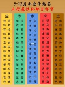 五行补金最好的名字 欠金欠水的男宝宝名字