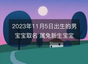 小孩取名字大全2023属兔免费 免费取名