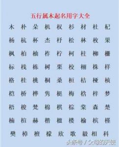 五行属木最吉利的字 桓字五行属什么