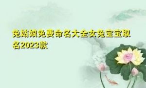 取名字大全男孩 2023兔年女宝宝取名