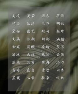 兔宝女孩名字 兔宝宝名字女孩