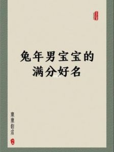 兔年男孩取名大全免费 兔年男孩名字