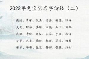 2023年女孩兔宝宝名字 张姓女孩取名