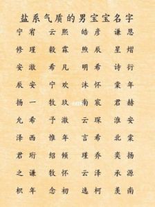 起名字男孩2023免费 男孩子取名字大全