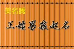 王姓男孩名字 免费名字打分免费查询