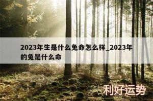  2023年出生的人属什么命