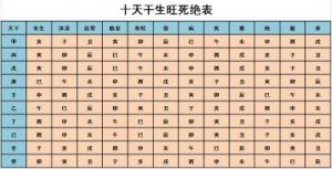  202这个数字的风水含义是什么