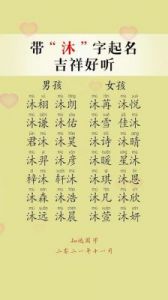 沐字取最旺的名字 沐字取名男孩名字大全