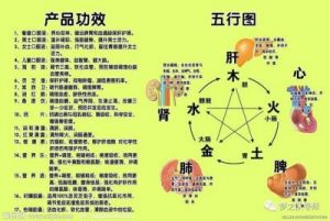 素字属金木水火土 素字五行属什么