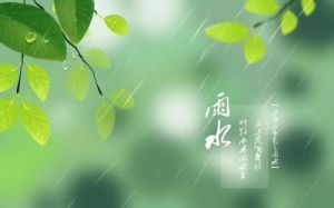  雨水节气：春天的第一场雨，润物无声