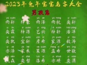 2024年兔宝宝取名男孩篇：属兔男孩的名字推荐