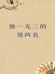 起名缺木男孩名字大全：男孩缺木取名指南（免费分享）