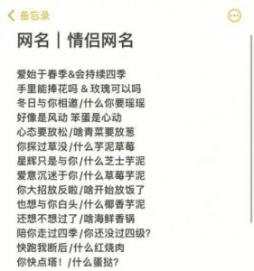 情侣网游Top10+王者荣耀恋人名字大全