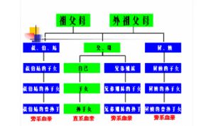 无血缘关系也亲近：家族结拜名字大全