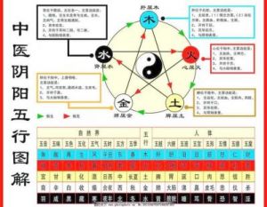 1954年出生的命理分析：五行阴阳揭秘