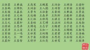 王姓男孩名字大全,好听的姓王的男孩名字