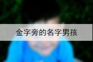 金字旁较旺的男孩名字：寓意富贵吉祥的男宝宝名字推荐