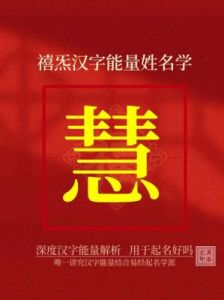 带慧的名字：寓意深刻，展现智慧气质