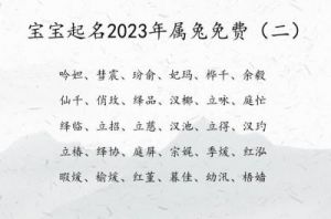 杨氏兔宝宝取名指南：2023年属兔男宝宝命名