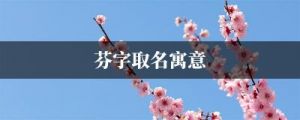 女宝宝取名的最佳选择——带有“芬”字