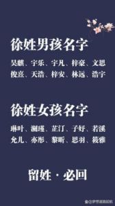 徐姓男孩名字：大气独特好听且稀有