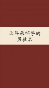 属兔男孩子名字精选：给兔子属的男孩取名字的