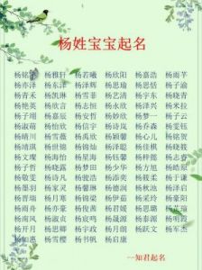 杨姓宝宝名字大全-优美动人的杨氏取名