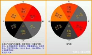 酉时出生的女孩的命运和五行属性分析