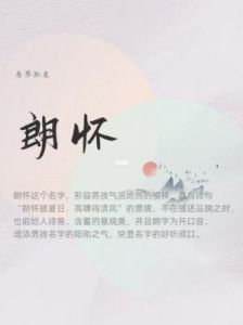 兔年男宝宝起行名选择阳刚有力的名字属兔