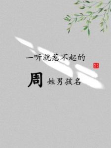 男孩姓周拥有典雅涵养的名字：君子如玉