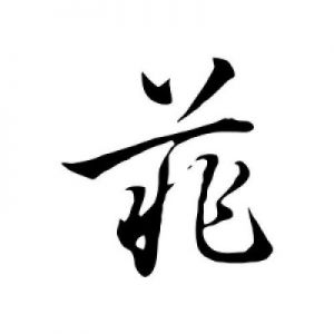 菲字寓意深远及菲字高雅名字Suggestions