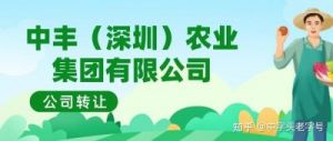 优秀农业公司的寓意深远命名参考指南