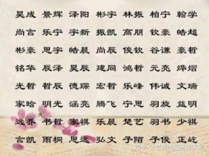 4000个优雅的男孩名字：为宝宝取一个独特有品味的名字