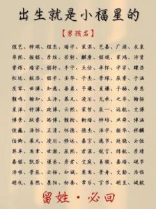 优雅独特的男宝宝名字大全：寓意丰富吉祥幸福的取名之道