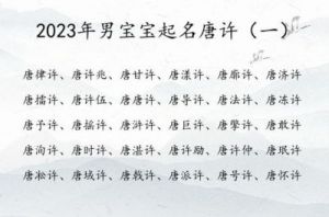 男宝宝唐姓取名大全2023（精选500个）——独特的名字供您选择