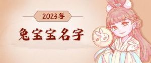 为男宝宝取一个既好听又大气的乳名，适合2023年属兔的男孩