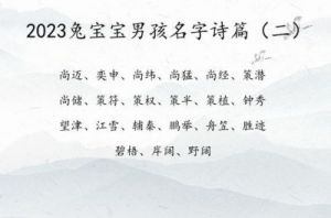 男孩大气有涵养的名字属兔，男孩属兔取什么名字吉利改进的属兔男孩如何取一个大气有涵养的吉利名字？