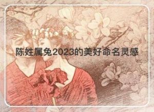 陈姓属兔男孩取名：2023年最好听稀少的名字