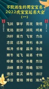 伯后面加一个好听的男孩名字