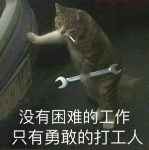 太不走心了！给猫咪想个搞笑的名字