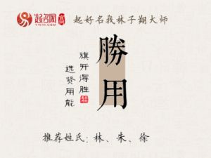 起名必须以“胜”字为首