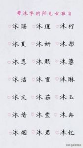 沐字取名禁忌：寻找诗意的名字与沐字