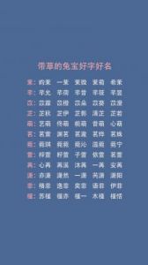 属兔的宝宝取什么名字好？兔年宝宝最佳用字推荐